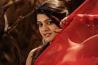 Tashu Kaushik Hot Saree Photos
